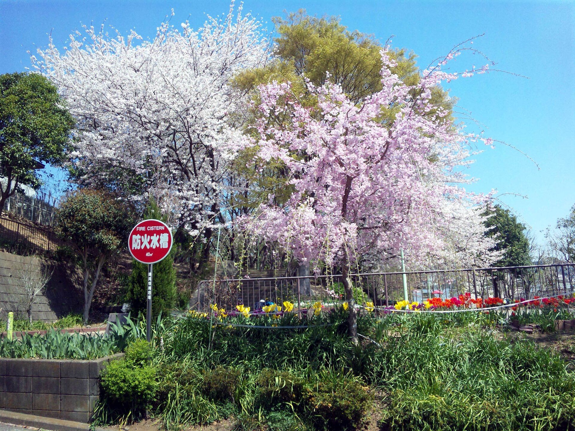 戸塚区品濃町の天王山公園